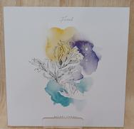 アクリルプレート|MOTOKI OHMORI