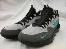 LEBRON XVI LOW AC|NIKE