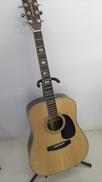 アコースティックギター|MORRIS