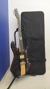 エレキギター|SCHECTER