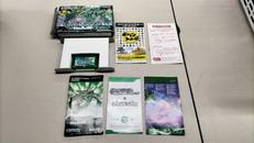 ポケットモンスター エメラルド|NINTENDO