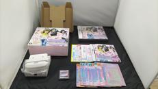 オシャレ魔女 ラブ AND ベリー ～DSコレクション～|SEGA