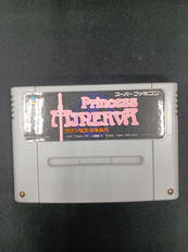 プリンセス・ ミネルバ|ビック東海