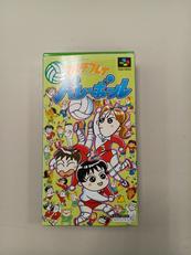 マルチプレイバレーボール|パックインビデオ
