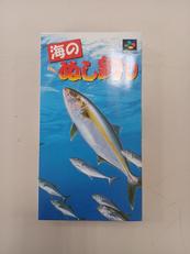 海のぬし釣り|パックインビデオ