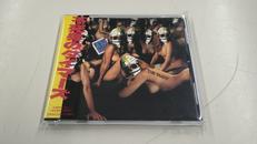 不死身のタイマーズ|SWIM RECORDS