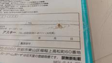 imgMap['COMMENT']}