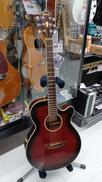 IBANEZ[アイバニーズ]|エレアコ|オフモール - 中古通販のハード