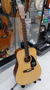 アコースティックギター|FENDER