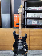 エレキギター|EVH