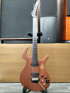 エレキギター|PARKER GUITAR