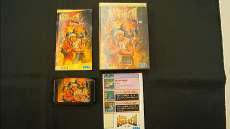 格ゲー好きにおすすめ！|SEGA