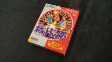 起源にして頂点|NINTENDO