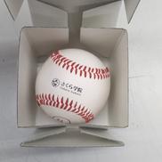 飛び出せ青春!なすおのサインボール!!|野中ここな(さくら学院)