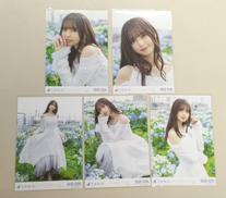 生写真 5種コンプリート|齋藤飛鳥