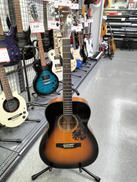 アコースティックギター|MORRIS