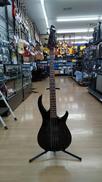 エレキベース|PEAVEY