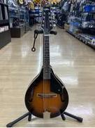 その他アコースティック楽器|ARIA