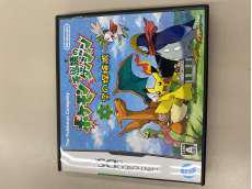 DSソフト|その他ブランド