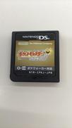 DSソフト|NINTENDO / 任天堂