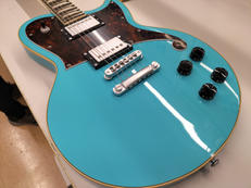 エレキギター|D’ANGELICO