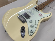 エレキギター|BACCHUS