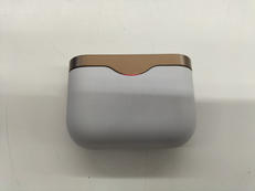 ワイヤレスイヤホン|SONY