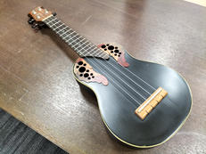 その他アコースティック楽器|APPLAUSE