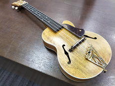 その他アコースティック楽器|D'ANGELICO