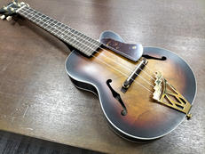 その他アコースティック楽器|D'Angelico