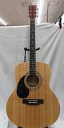 アコースティックギター|HONEY BEE