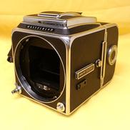 中判カメラ|HASSELBLAD