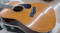 アコースティックギター|YAMAHA