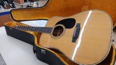 アコースティックギター|MORRIS