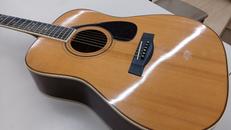アコースティックギター|YAMAHA