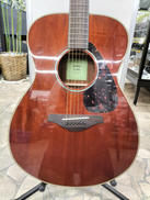 アコースティックギター|YAMAHA