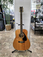 アコースティック|YAMAHA