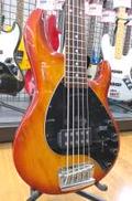 エレキベース|STERLING BY MUSICMAN