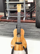 コンサートウクレレ|KANILEA