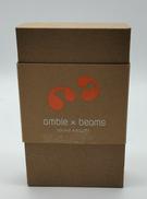 ワイヤレスイヤホン|AMBIE