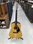 アコースティックギター|YAMAHA