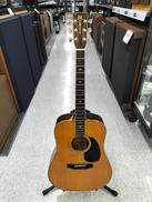 アコースティックギター|MORRIS