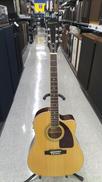 エレアコ|EPIPHONE