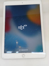 iPad Air2 iPad mih4 本体　ジャンク　2台セット Apple iPad Air 10.9インチ 第4世代 Wi-Fi 256GB 2020年秋モデル