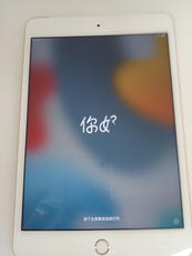 IPAD MINI4|APPLE