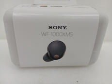 ワイヤレスイヤホン|SONY