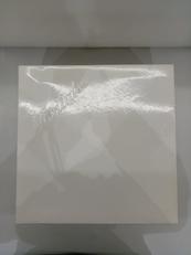 ボルダーリッチ 皿5枚|NORITAKE