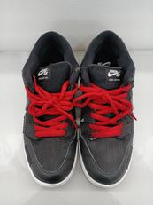 メンズスニーカー|NIKE SB DUNK LOW PRO