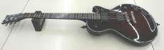 レスポールタイプ|SCHECTER