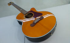 エレアコ|EPIPHONE